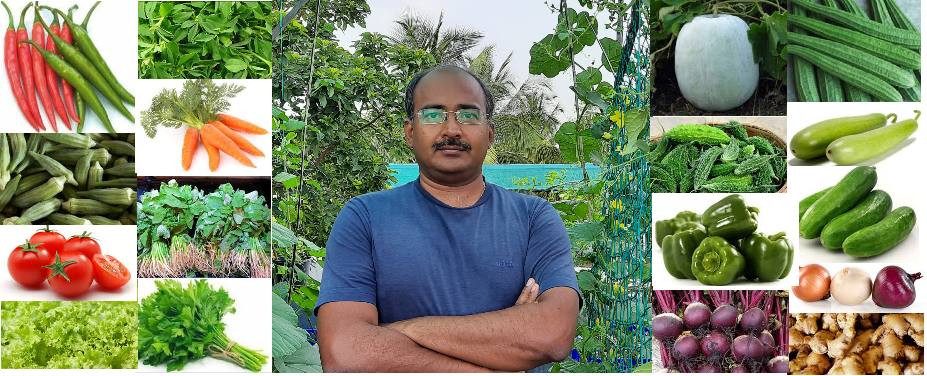 About the Author: Krishna Kumar is a Leadership Mentorcoach and a humble gardener. He helps development of people within both in body and mind, unleashing their true potential.